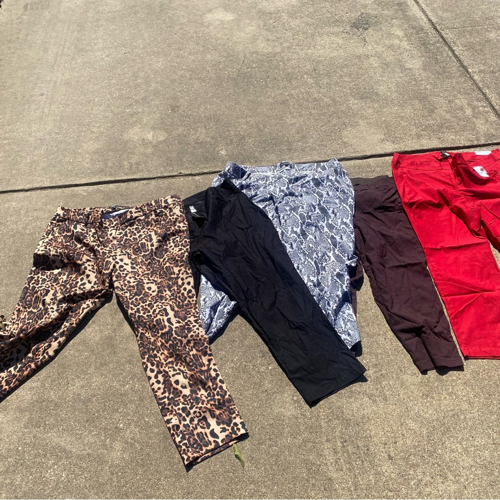 Lot of Plus Size Stylish Pants - Leopard, Black, Snake, Red, Burgundy - Picture 2 of 2